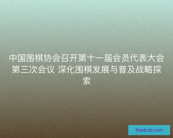 中国围棋协会召开第十一届会员代表大会第三次会议 深化围棋发展与普及战略探索